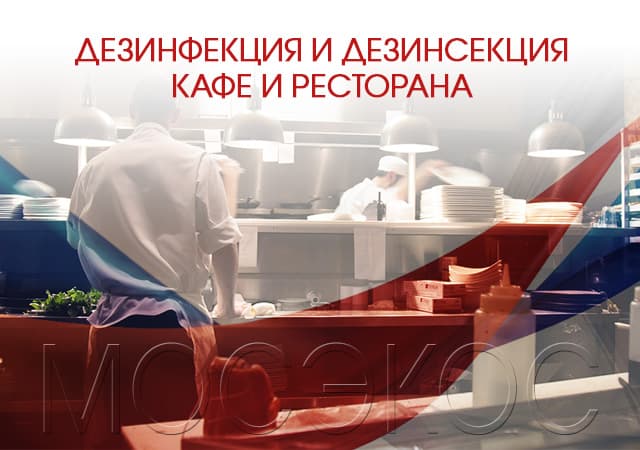 Дезинсекция предприятия общественного питания в Орехово-Зуеве